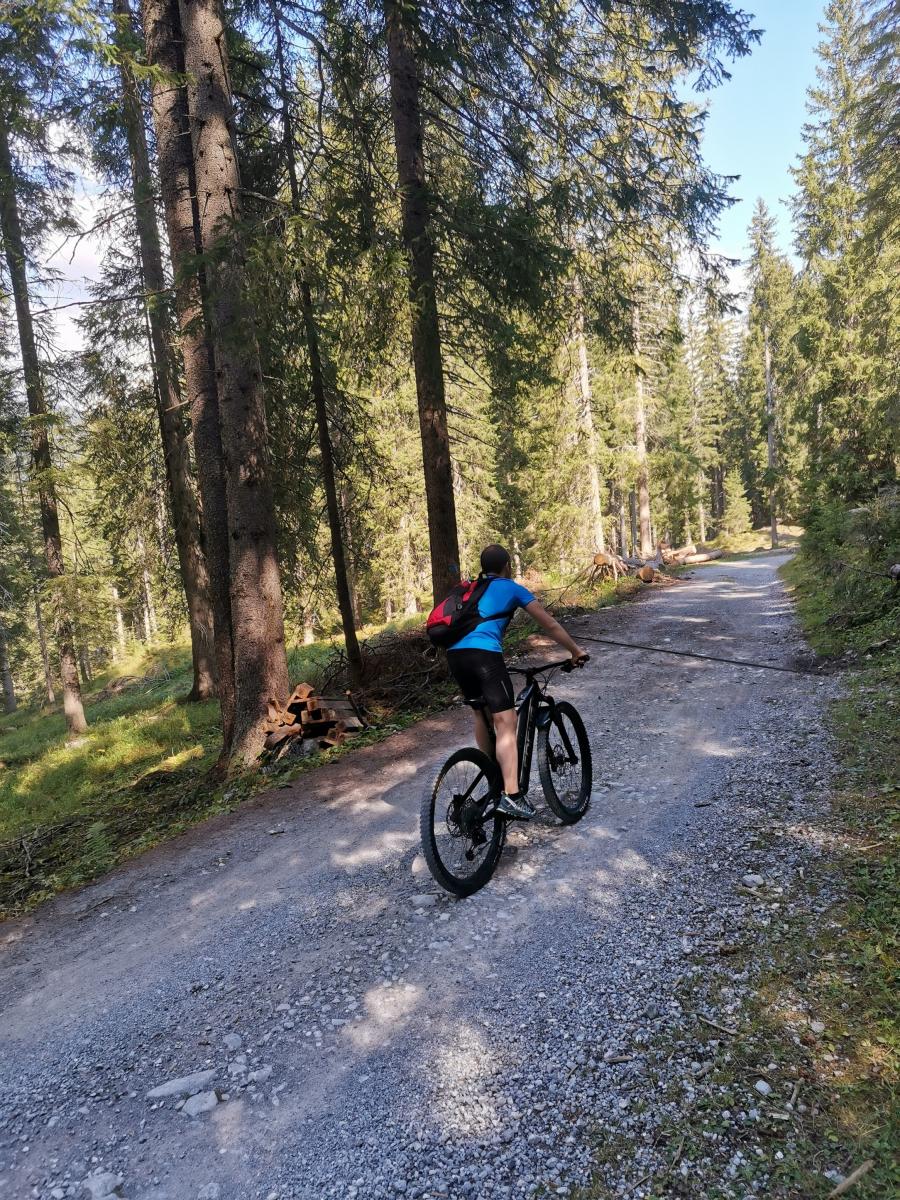 Active holidays in Val di Sole