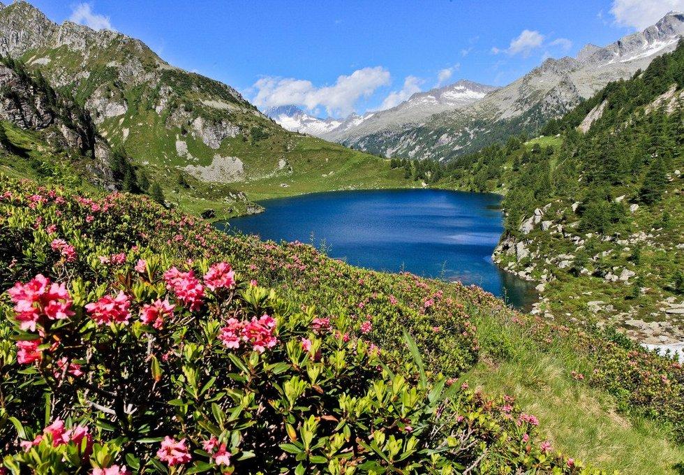 Von den schönsten Naturparks Italiens umgeben! 