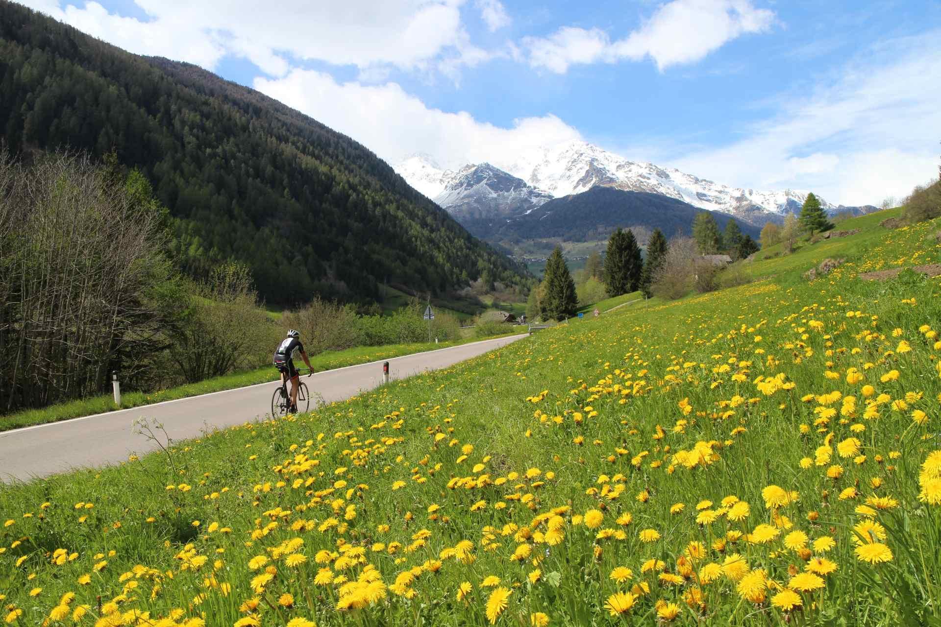 Frühling